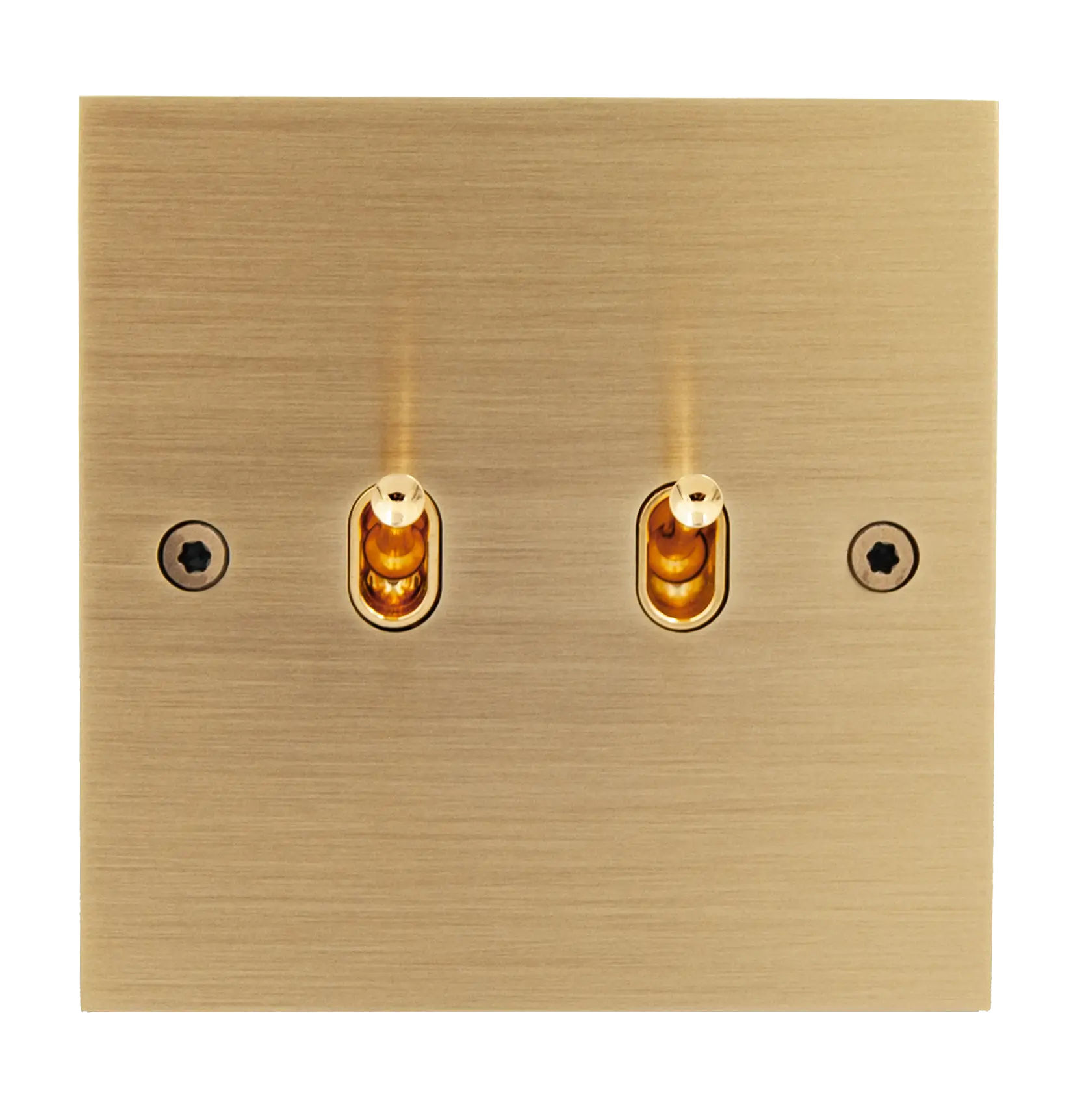 Interrupteur carré de la collection ellipse avec 2 leviers